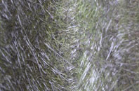 Auchtercairn fibreglass roof work